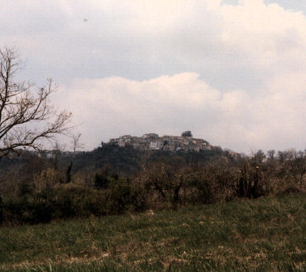 PANORAMA
